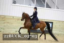 22BUCK_02703 proof