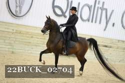 22BUCK_02704 proof