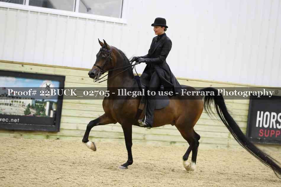 Proof 22BUCK_02705