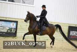 22BUCK_02705 proof