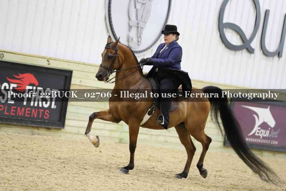 Proof 22BUCK_02706