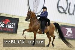 22BUCK_02706 proof