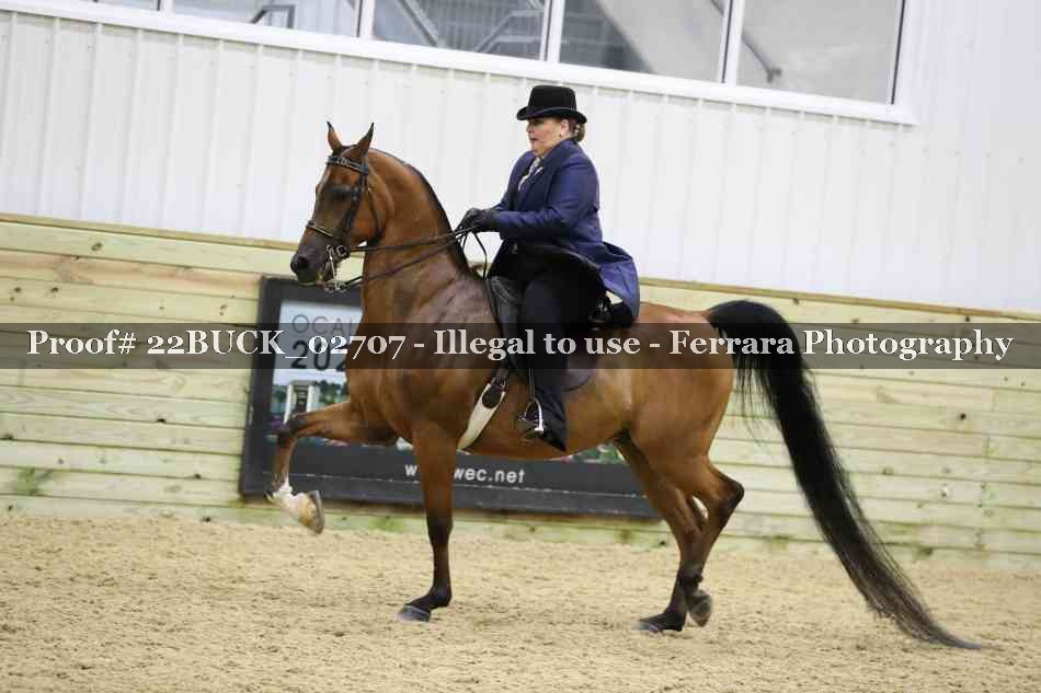 Proof 22BUCK_02707