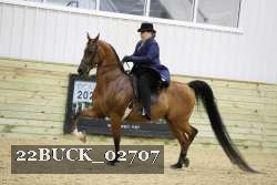 22BUCK_02707 proof