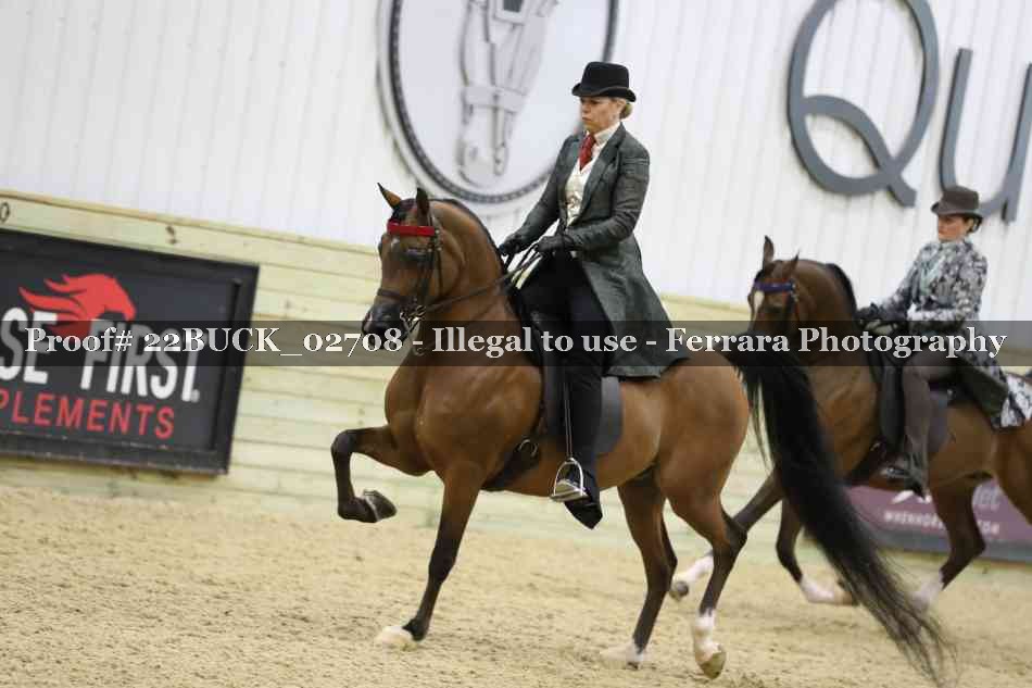 Proof 22BUCK_02708