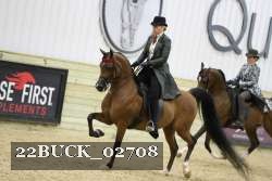 22BUCK_02708 proof