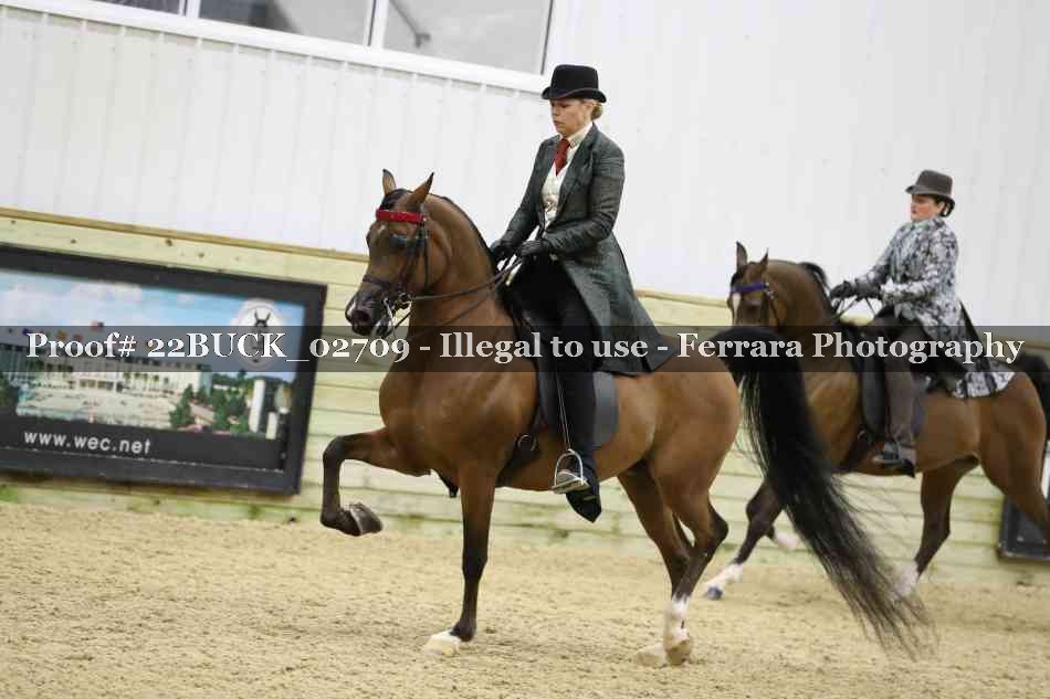 Proof 22BUCK_02709