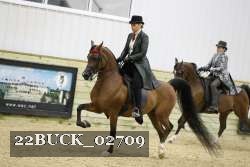 22BUCK_02709 proof