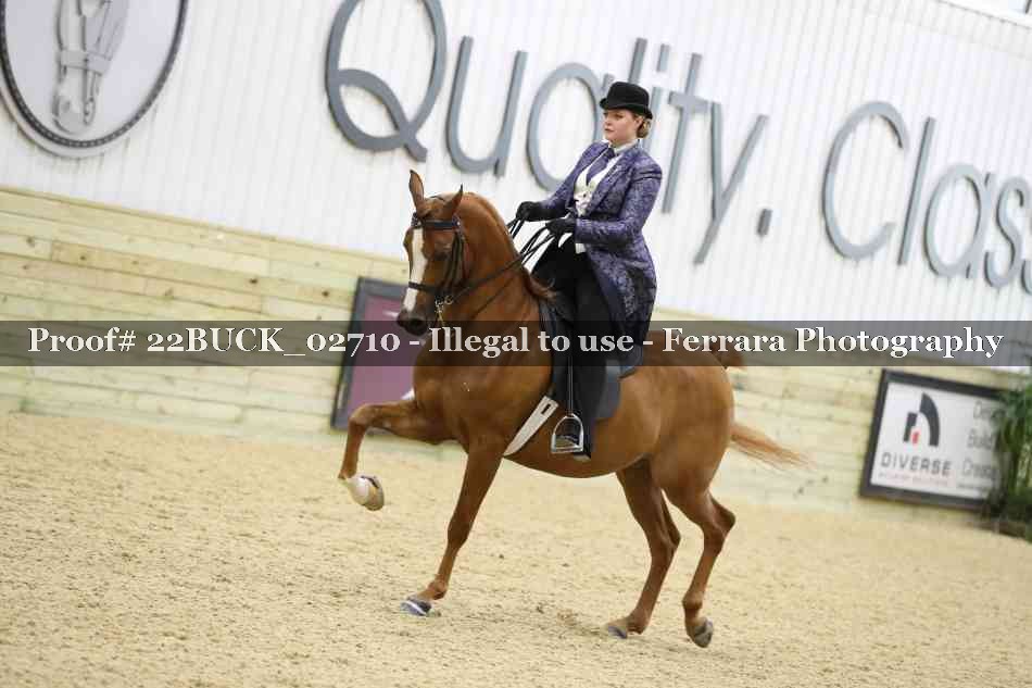 Proof 22BUCK_02710