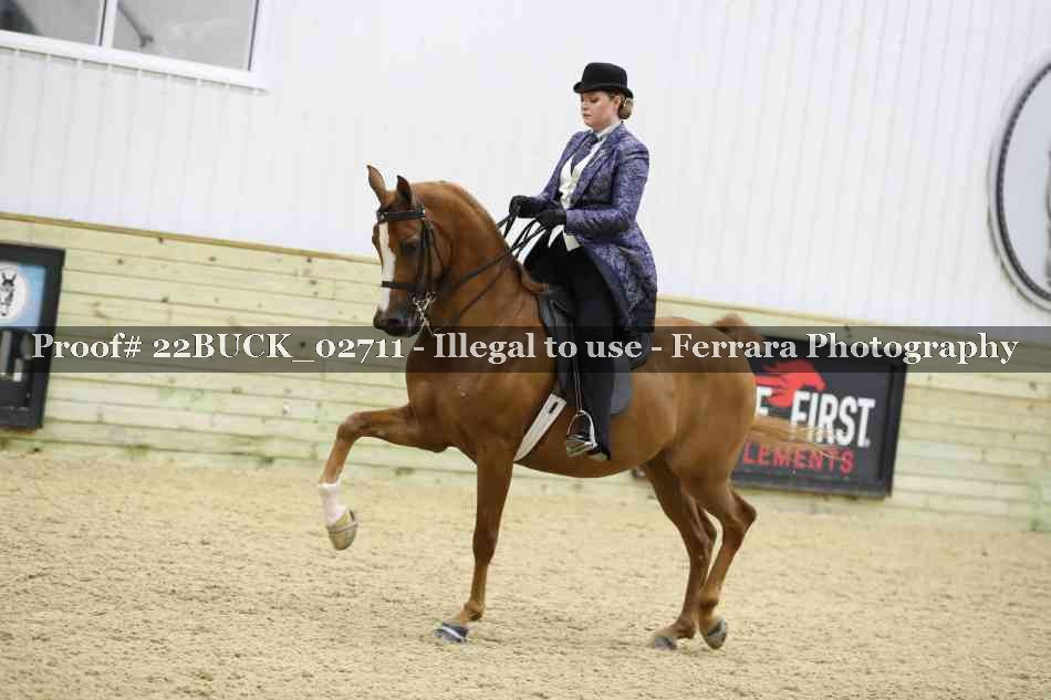 Proof 22BUCK_02711