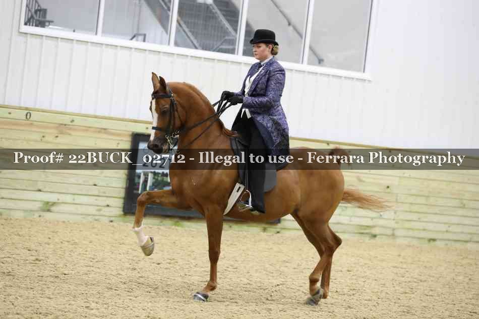 Proof 22BUCK_02712