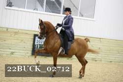 22BUCK_02712 proof