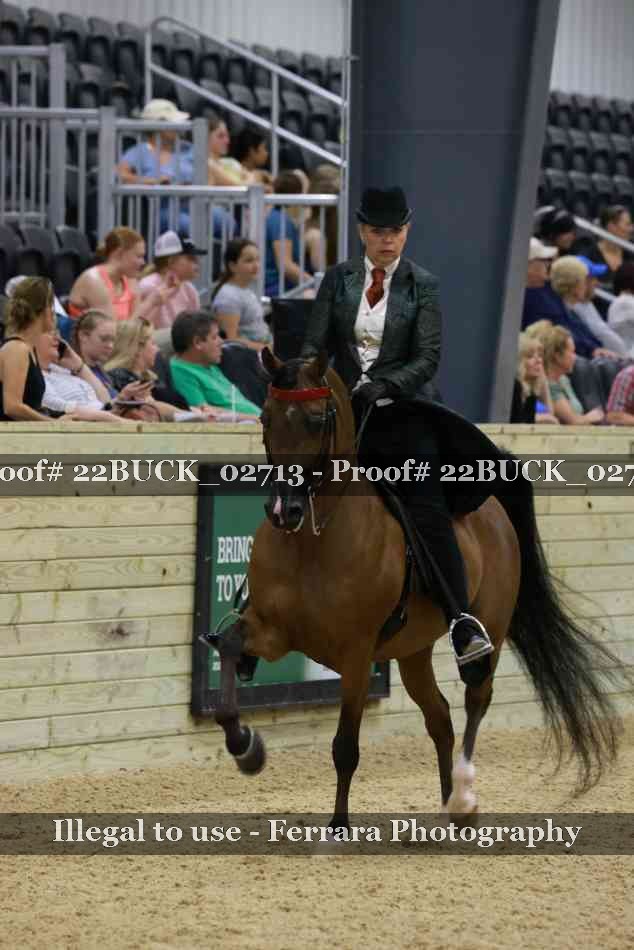 Proof 22BUCK_02713