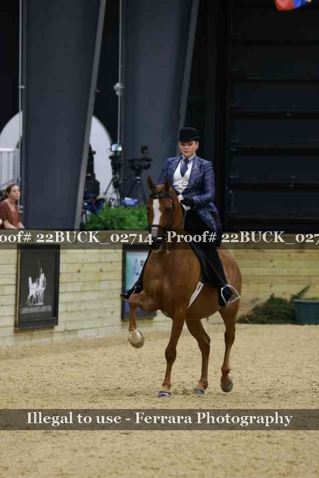 Proof 22BUCK_02714