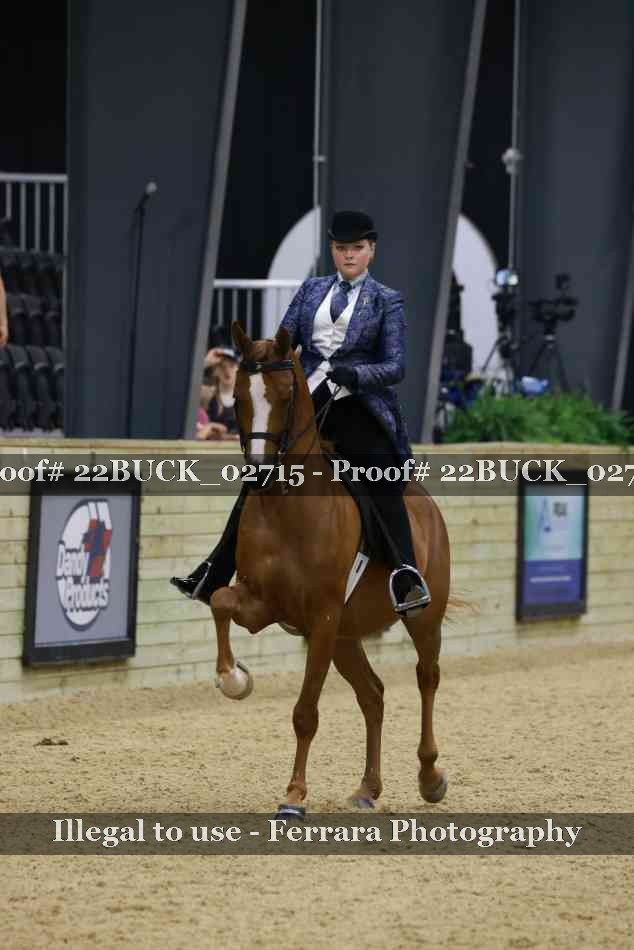 Proof 22BUCK_02715