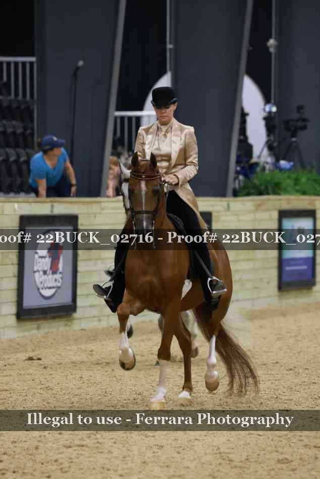 Proof 22BUCK_02716