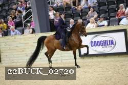 22BUCK_02720 proof