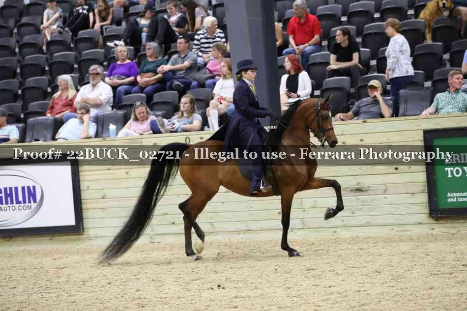 Proof 22BUCK_02721