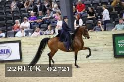 22BUCK_02721 proof