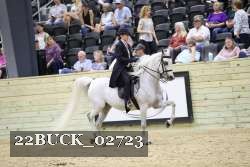 22BUCK_02723 proof