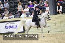 22BUCK_02724 proof