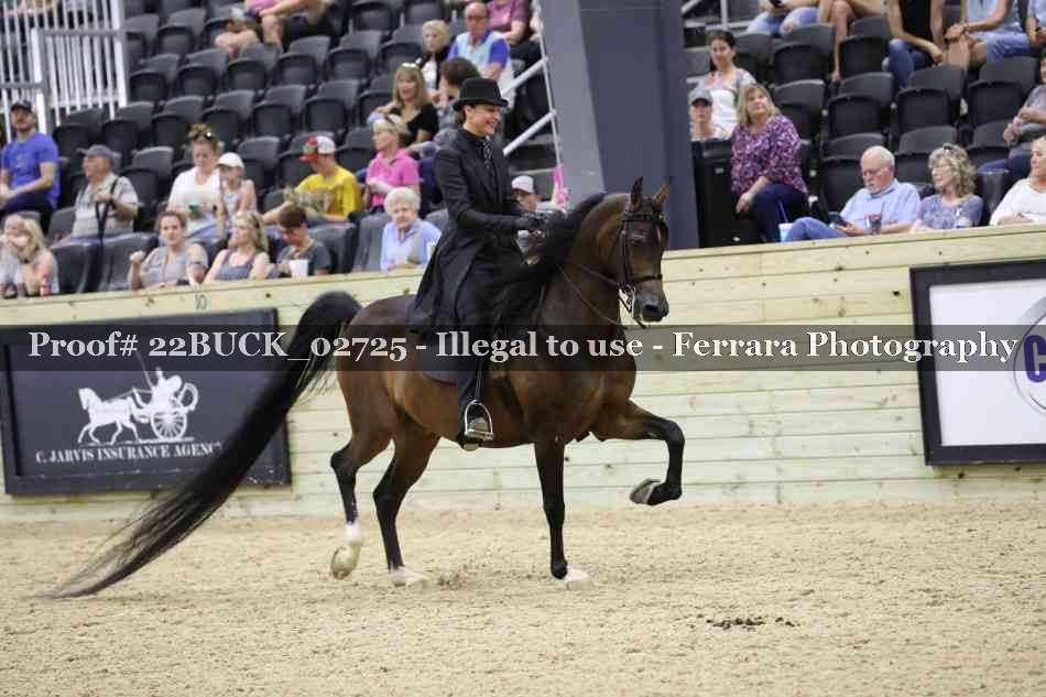 Proof 22BUCK_02725
