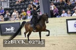22BUCK_02725 proof