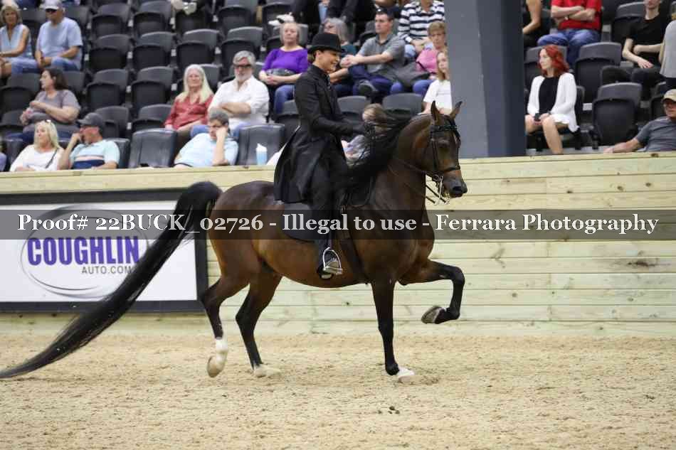 Proof 22BUCK_02726