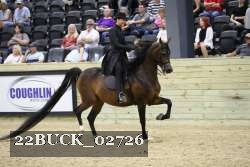 22BUCK_02726 proof