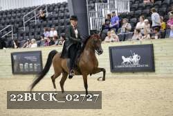 22BUCK_02727 proof