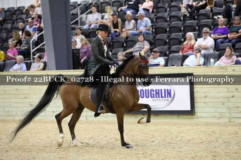 Proof 22BUCK_02728