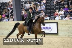 22BUCK_02728 proof