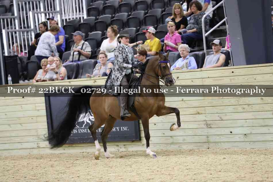 Proof 22BUCK_02729