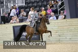 22BUCK_02729 proof
