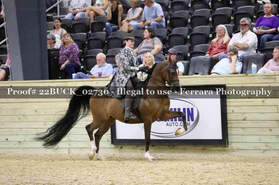Proof 22BUCK_02730