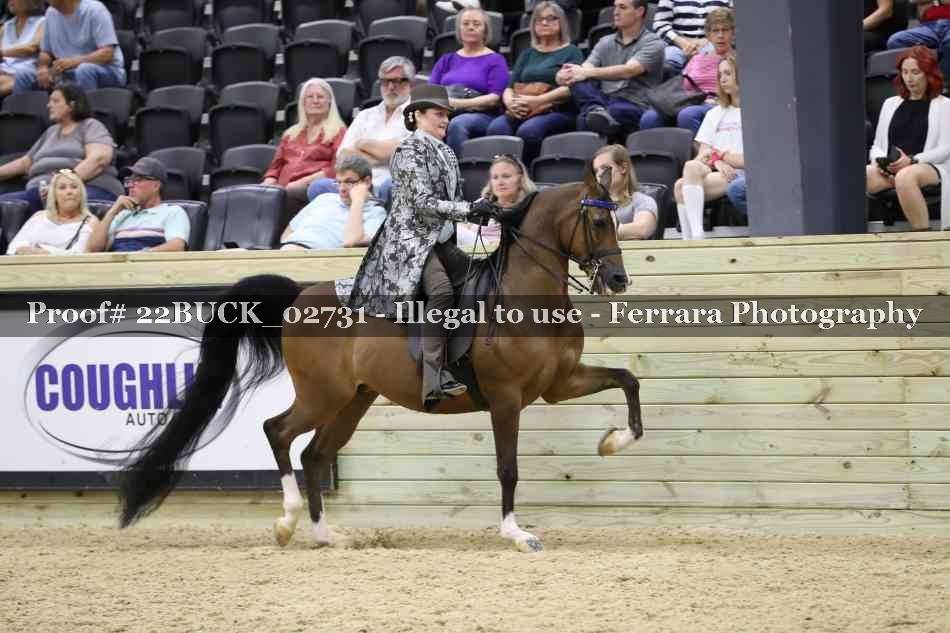Proof 22BUCK_02731
