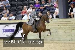 22BUCK_02731 proof