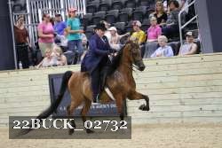 22BUCK_02732 proof