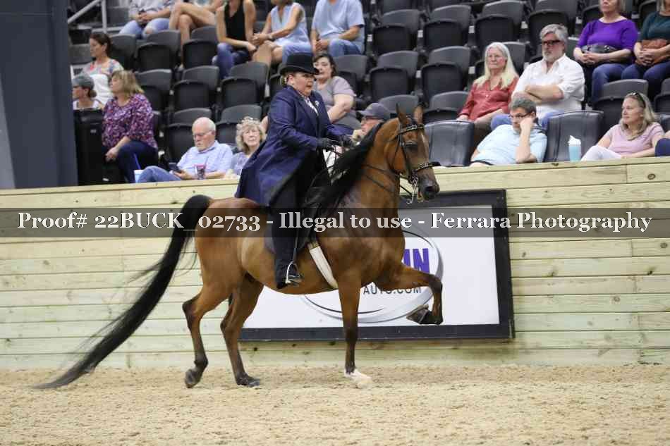 Proof 22BUCK_02733