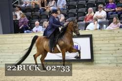 22BUCK_02733 proof
