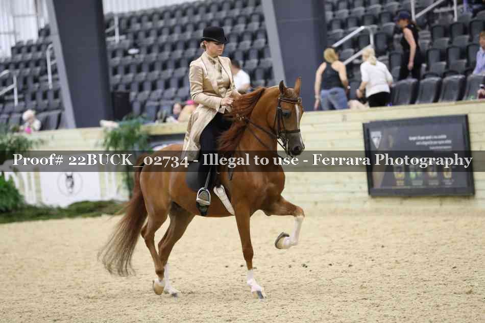 Proof 22BUCK_02734