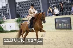 22BUCK_02734 proof