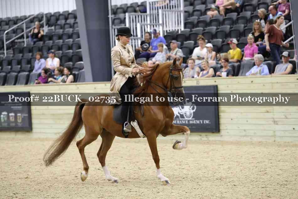 Proof 22BUCK_02735