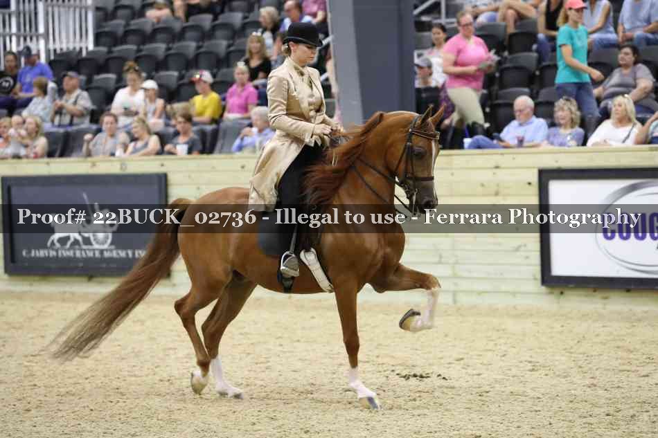 Proof 22BUCK_02736