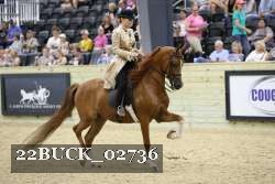 22BUCK_02736 proof