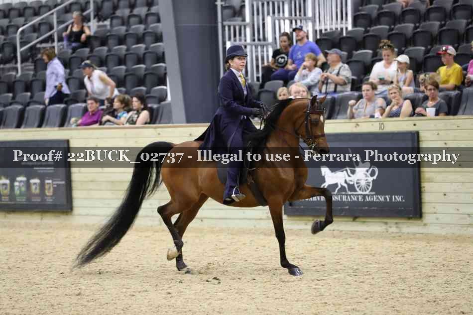 Proof 22BUCK_02737
