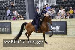 22BUCK_02737 proof