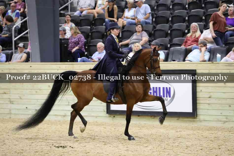 Proof 22BUCK_02738
