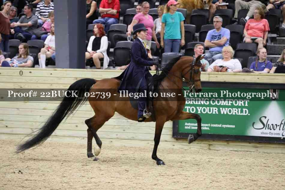 Proof 22BUCK_02739