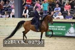 22BUCK_02739 proof